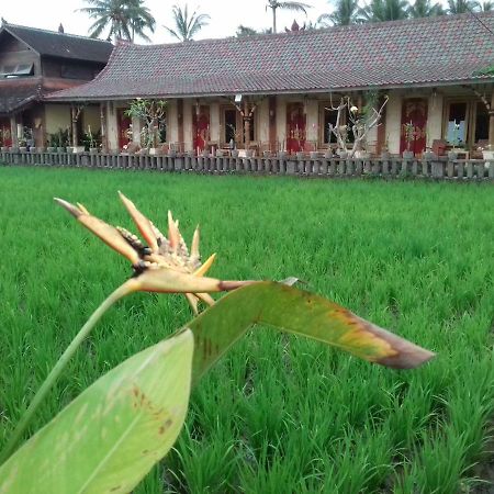 Rice Padi Artha Hotel Ubud  Luaran gambar